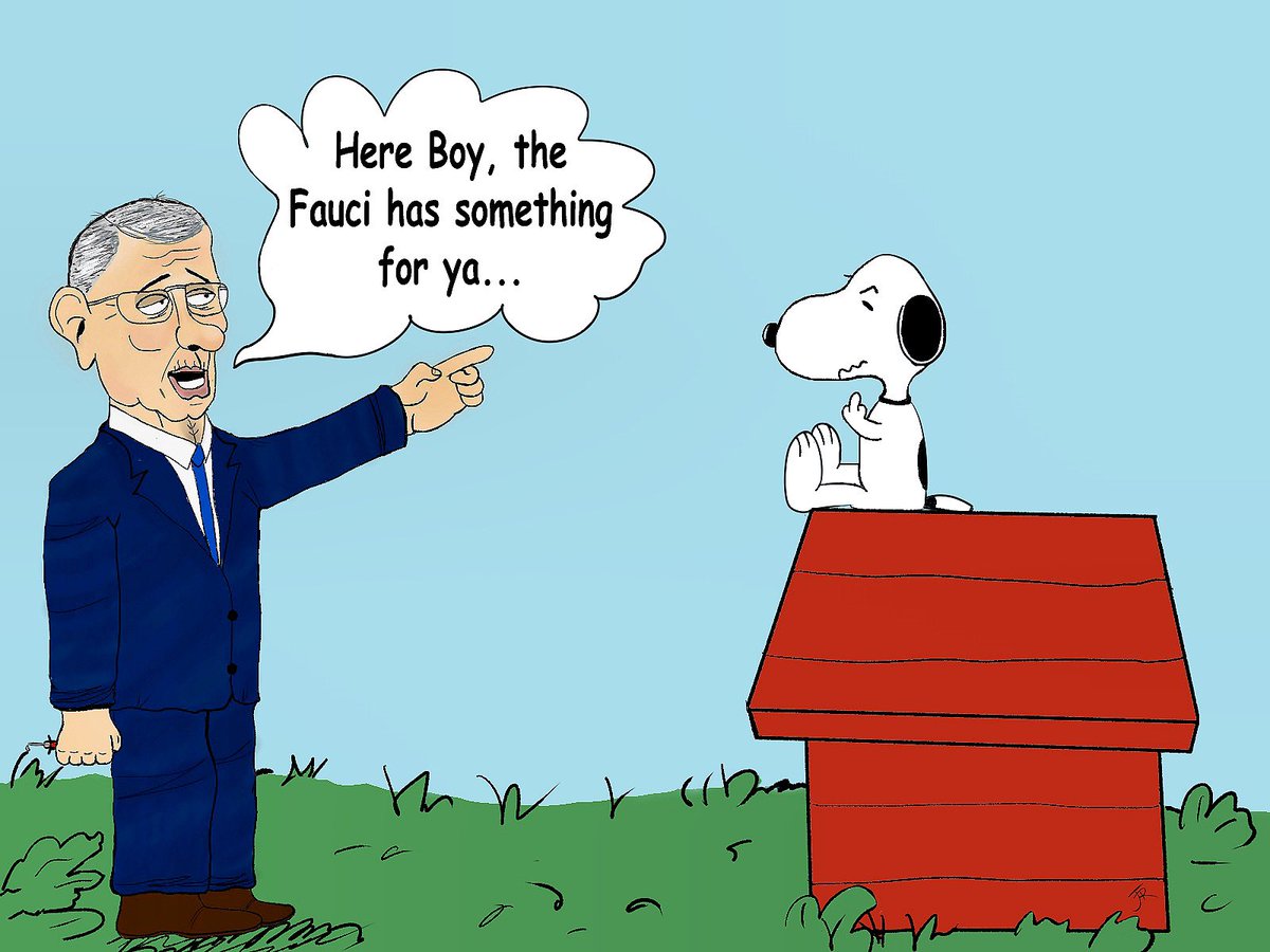 Finaldeathstar1's tweet photo. Snoopy finding out what Fauci was doing to beagles. #FauciLiedDogsDied #FauciLied https://t.co/UGPH9AA2wD