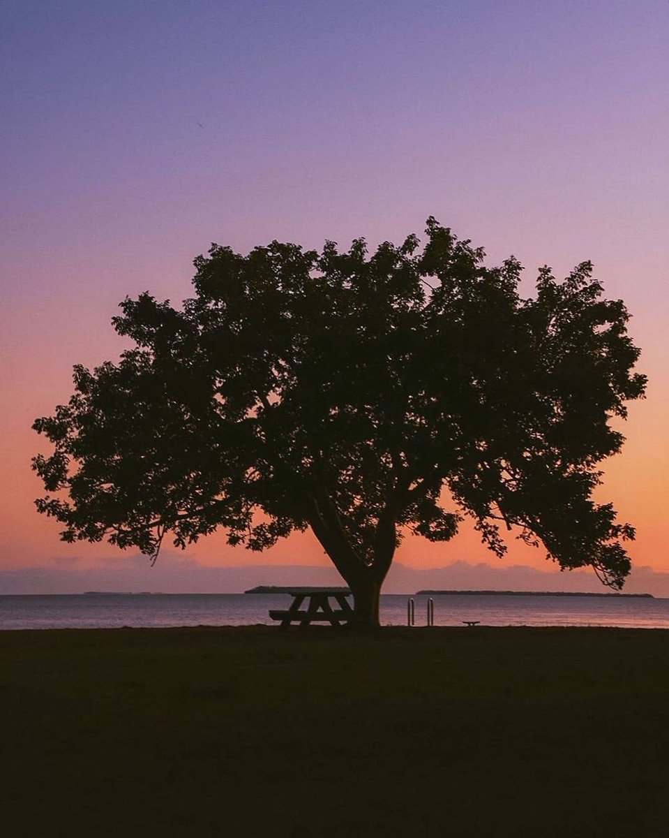 EvergladesNPS's tweet photo. ๐ Florida Bay sunsets ๐
Thank you Jasmine Krayer for sharing your #VisitorsView!
We love seeing how visitors experience the Everglades. ๐
Pic: Jasmine Krayer https://t.co/DbPYv5EKcB