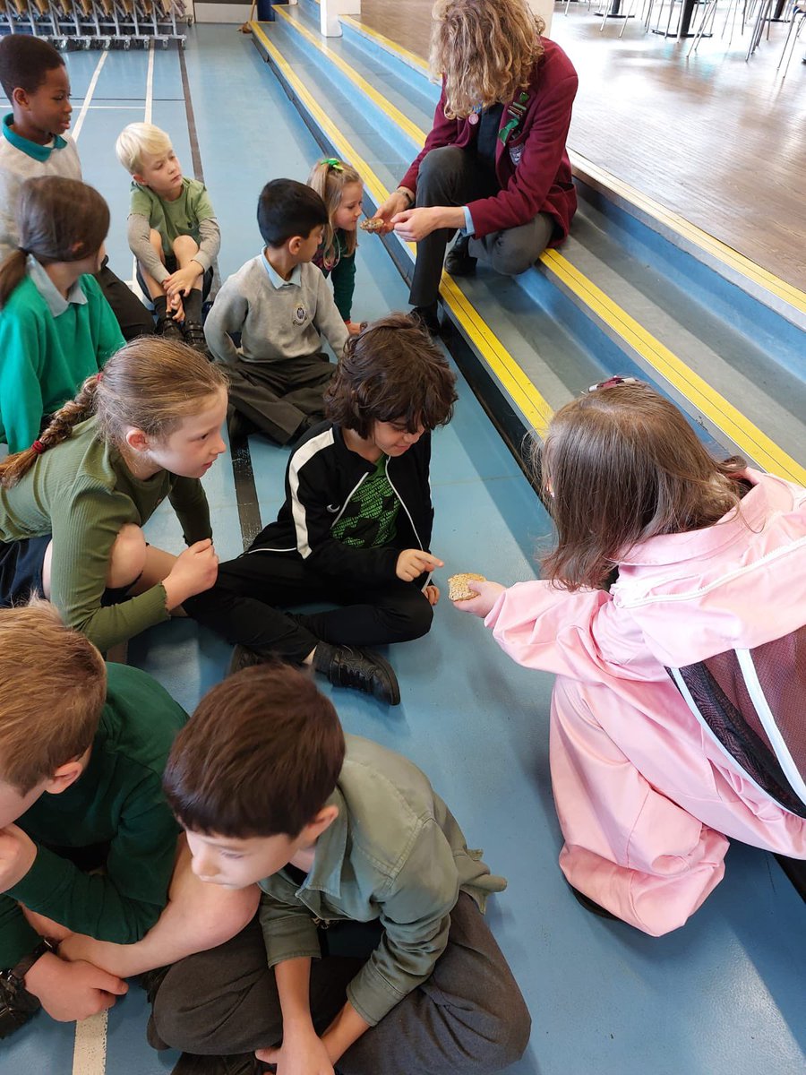 stniniansbio's tweet photo. Fantastic experience for our @stninianshigh beekeepers as they visited @OLM_Primary today to tell the pupils about the beekeeping course and explain the importance of bees as pollinators #WorkingTogether #YoungPeople @BeeologyEd @RoyalSocBio 🐝 #CreatingaBuzz #COP26 https://t.co/Y7lk4F3EyN