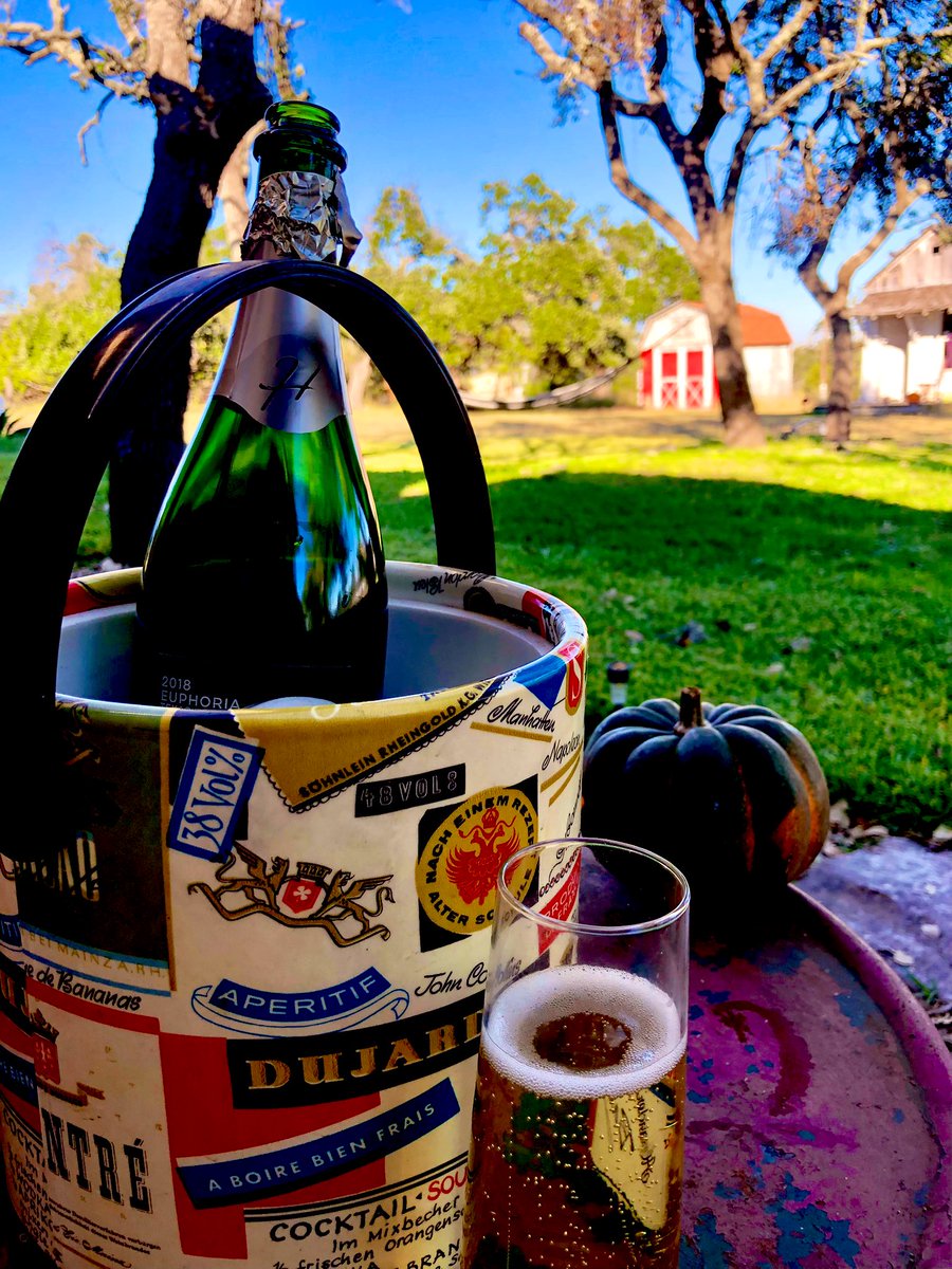 Sunkisses7676's tweet photo. Euphoria! #TexasLocal Cheers $TSLA bulls ⚡️🧡 https://t.co/5YEmCW4ddV