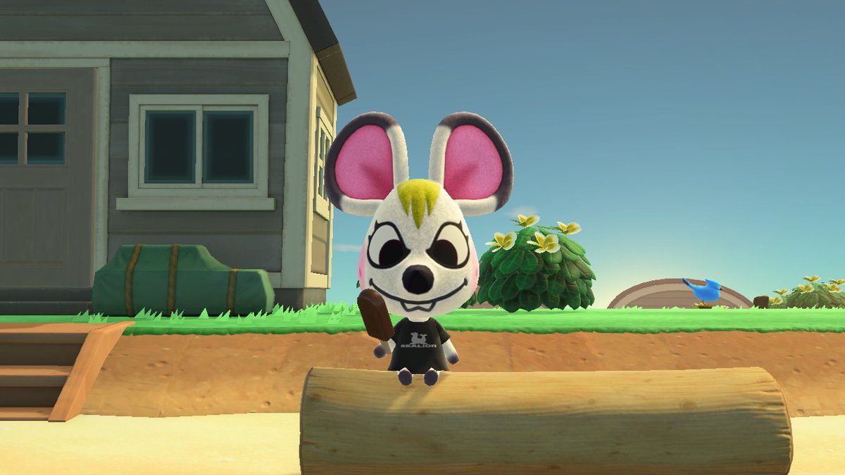 velverie's tweet photo. #AnimalCrossing #ACNH #NintendoSwitch https://t.co/f3WFWr0UNz