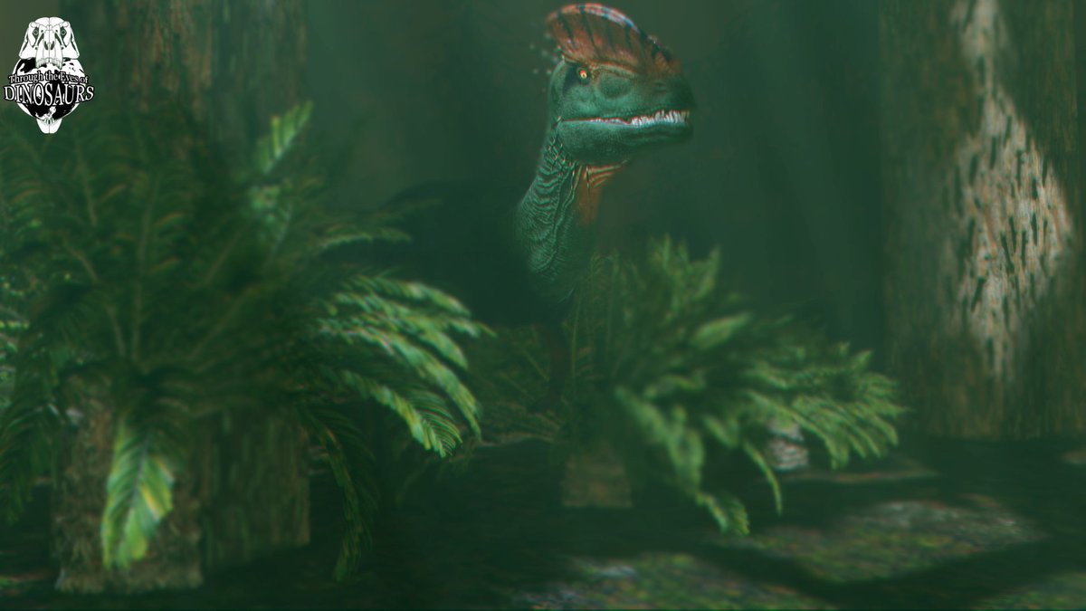 DinosauriaD's tweet photo. 👀 #dinosaurs https://t.co/rmkhAX3dt2