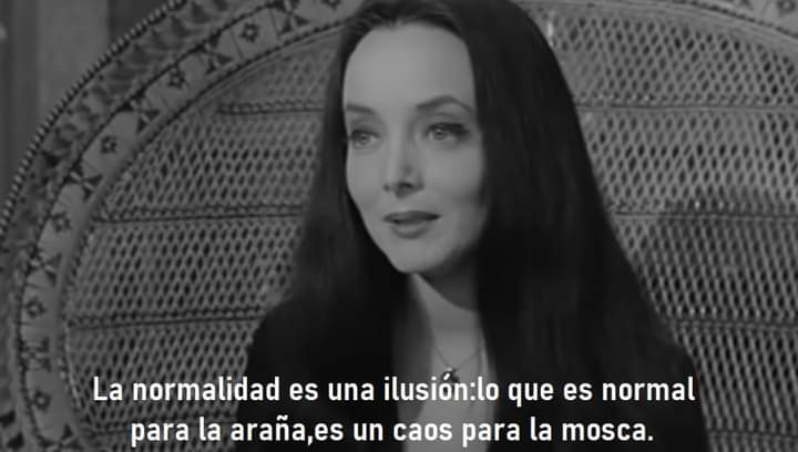 Liaroth1805's tweet photo. Ya hace falta technoooo 🐈‍⬛🦇 https://t.co/zZ9HeVLwgj