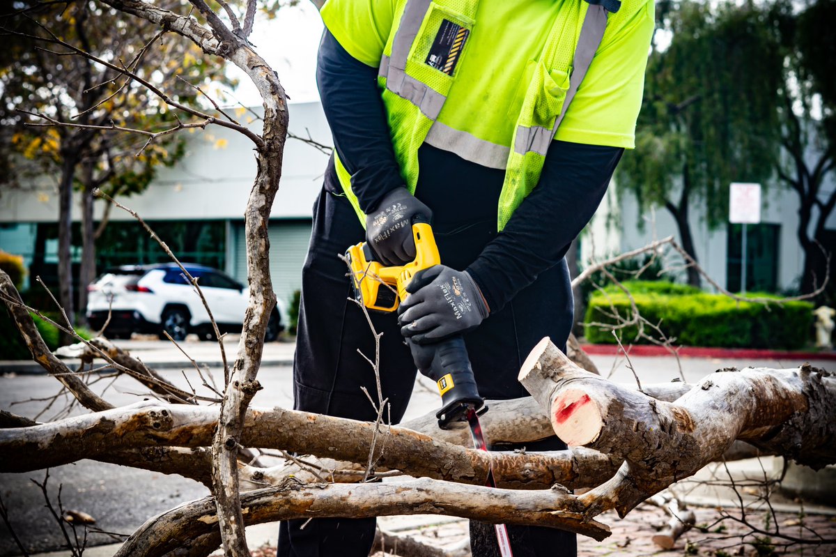 BayAreaBins's tweet photo. Bay Area Bin Support cutting your trash and hauling fees in half! 🪚💪🏽

1-888-920-BINS 📞@bayareabinsupport https://t.co/lW1yimxp6Z