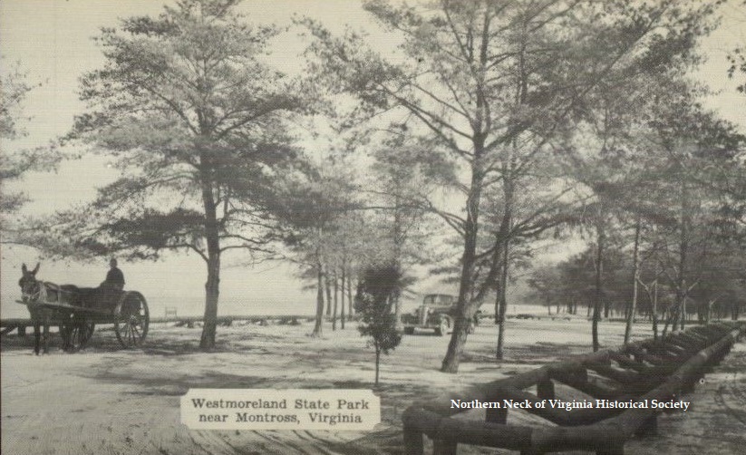 NNVHS's tweet photo. Westmoreland State Park on the Potomac River in Westmoreland County, Virginia covers approximately 1,300 acres. The park opened to the public in 1936. https://t.co/Sxw3QBFyPy
#NorthernNeckVirginiaHistory #NorthernNeck #Virginia #History #NNVHS https://t.co/cqCgLmezcj