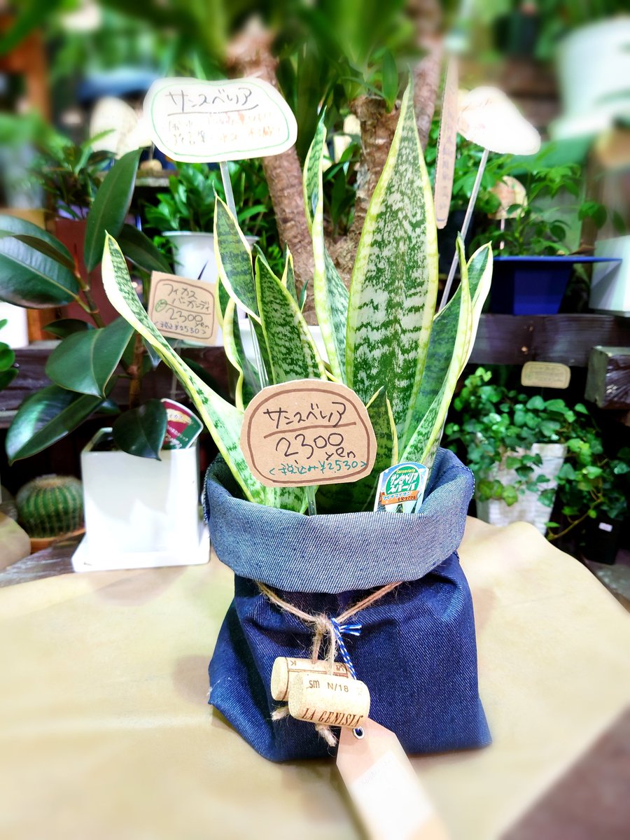 تويتر B5 B9 99 بحث في تويتر