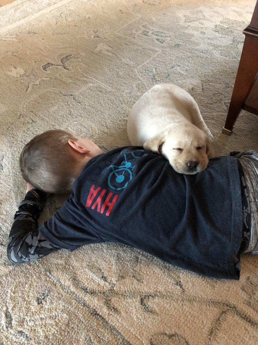 hyasports's tweet photo. Everyone loves #hyabiking #evendogs! https://t.co/m5fvrsOC7d