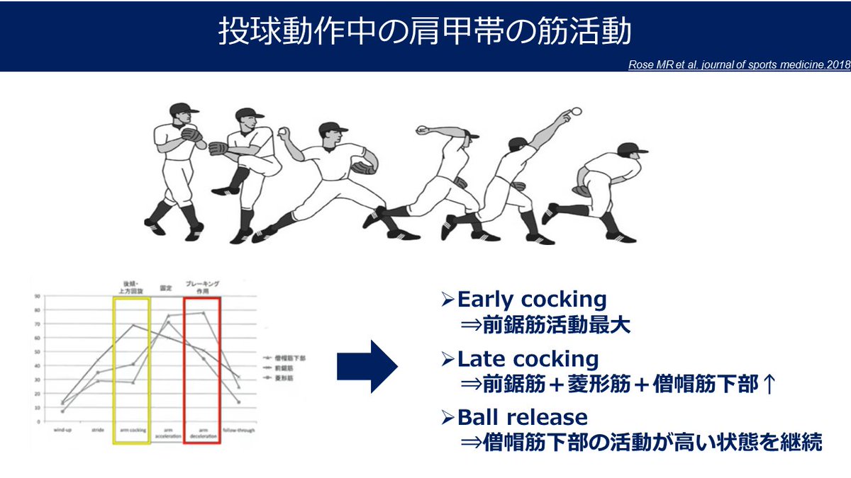 dandgsy's tweet photo. 投球障害肩㉙

投球動作中の肩甲帯周囲筋の筋活動 https://t.co/NNisXNDjLj