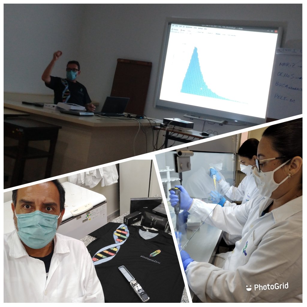genomicday's tweet photo. Curso de sequenciamento por #nanoporos usando o #MinION da @nanopore. Treinando professores/pesquisadores brasileiros que irão multiplicar nas suas respectivas regiões os conhecimentos adquiridos. #GenomicDay #GenomicLab https://t.co/tjD9hOZA3P