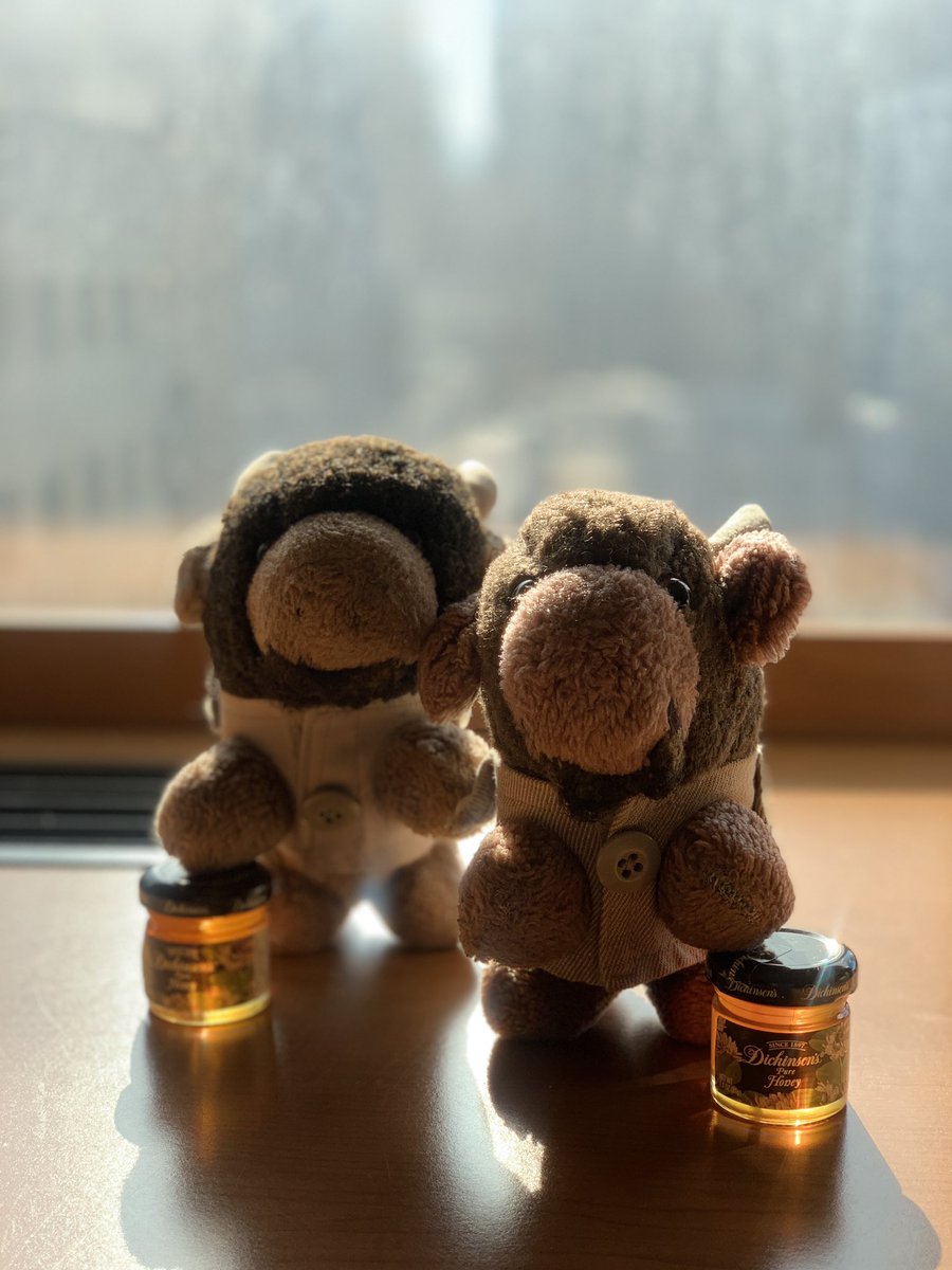 Decent_Bit's tweet photo. Happy #hen500k! What a crazy ride itโs been. Hereโs our #2buffs contribution! ๐ฏ๐ฆฌ
Gm from Buffโs little brother, Bruff!
.05 xtz || 498/500 ed.
Burningโฆeventually.๐ฅ
https://t.co/5J6I4kar4J https://t.co/Lt6i74UYEx
