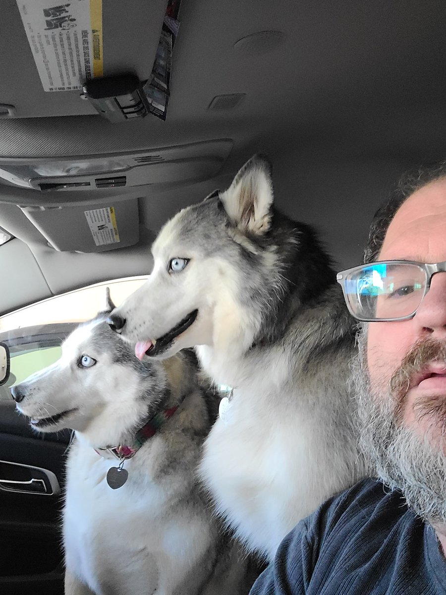 Sean Moran tweet media