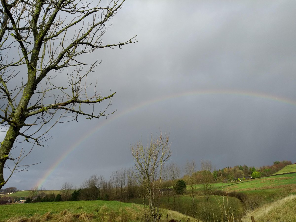 Capturing dreams
chasing stars
the rainbow ends.
#novemberfalls21
#amwriting #poetry #haiku