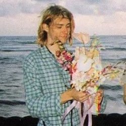 comfortcobarry's tweet photo. flowers kurt harry and flowers 💭🪴📸🍓 https://t.co/AnVBSv9Nd4