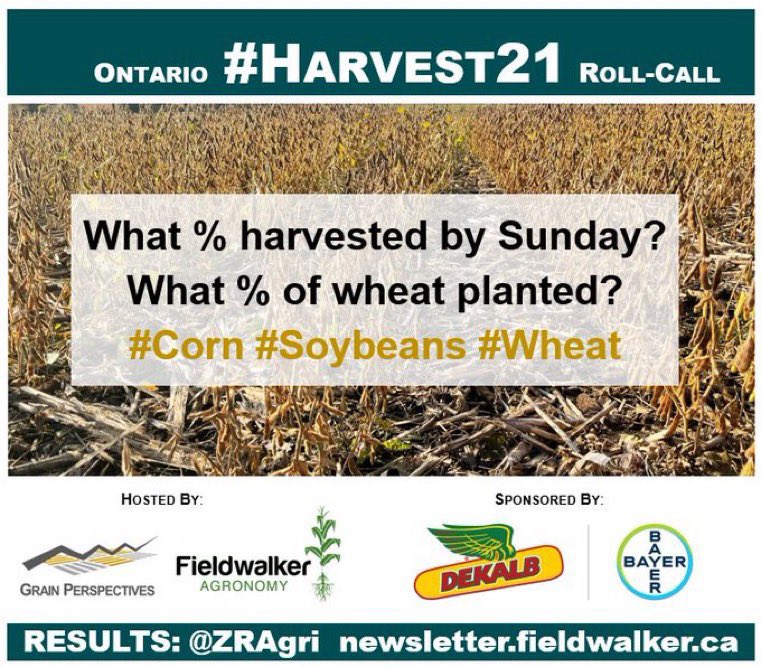 Matthew Pot tweet media