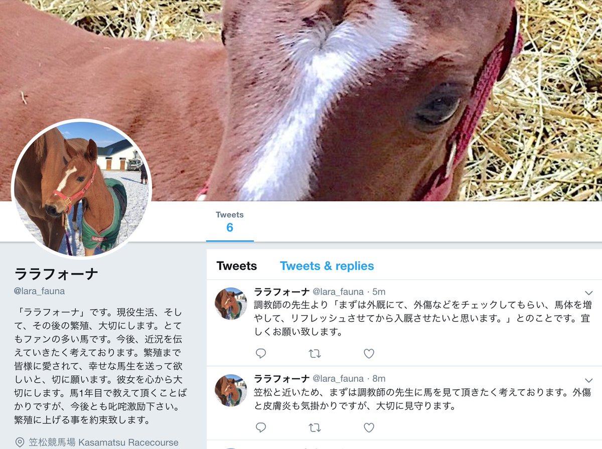ララフォーナ🐴💓
ありがとうね✨😢✨
本当に可愛い子でした💖
新しい素敵な馬主さんに出逢えて
大切にしてもらえて良かったね🍀💕
ずっと元気で居てね😢😢😢❣️ 