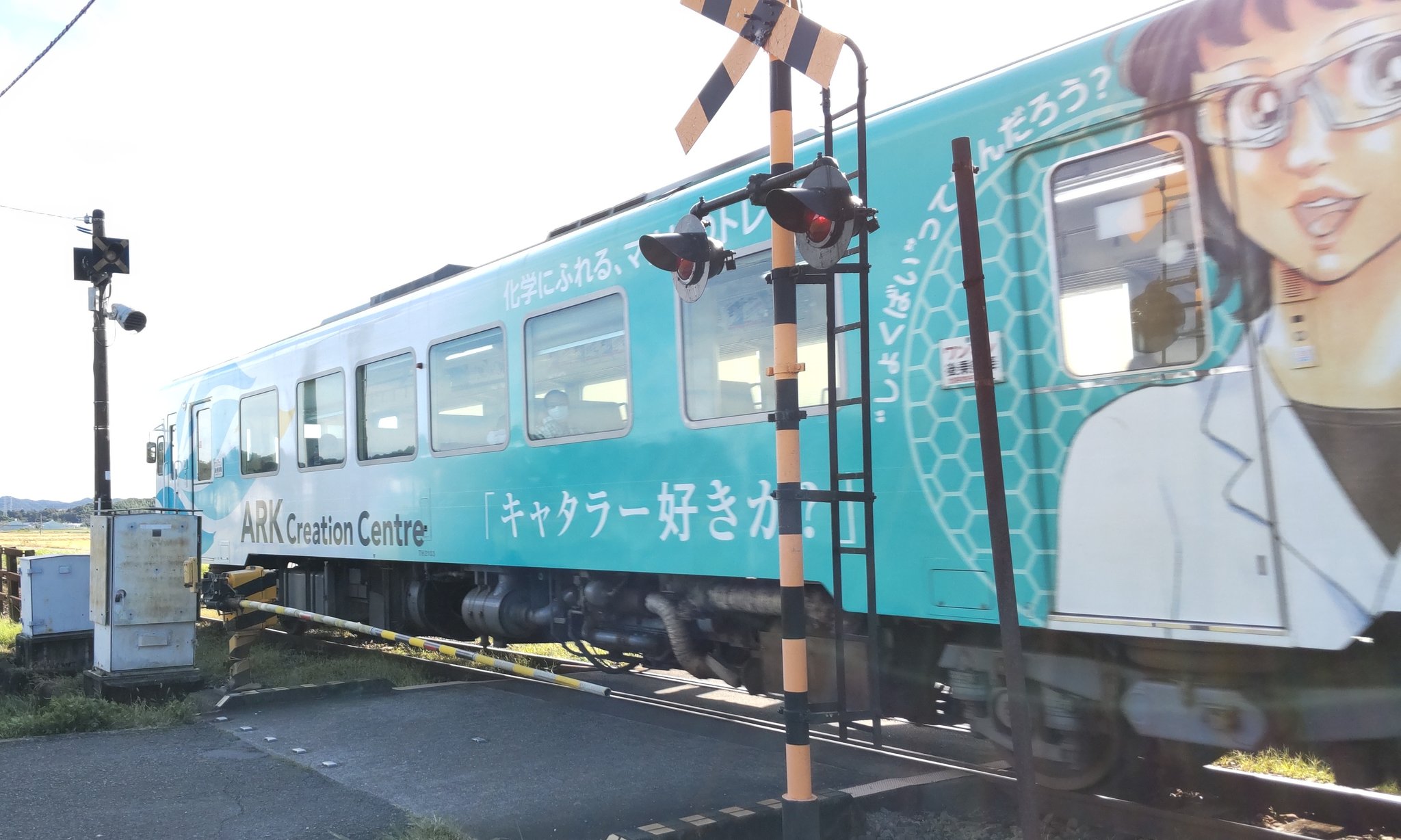 キャタラー好きか Twitter Search Twitter