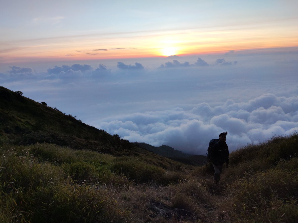 maladymorello's tweet photo. Mt.Sumbing3371 https://t.co/5T1DXWS76P