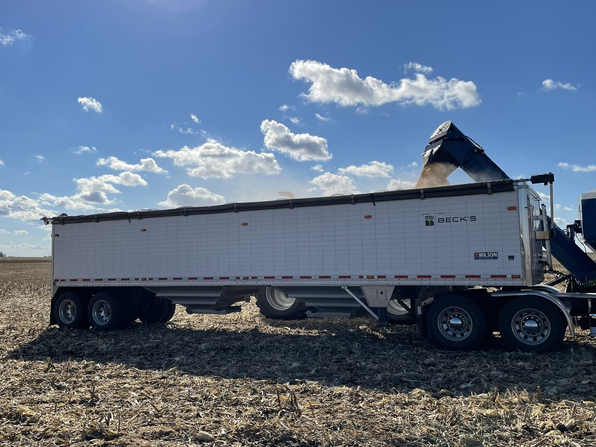 No Caption Needed! <a href="/BecksHybrids/">Beck's Hybrids</a> <a href="/WeAreBecks/">We Are Beck's</a> <a href="/BecksAgIA/">Beck's Iowa Agronomy</a> #Harvest2021 #plantbecks #beckshybrids