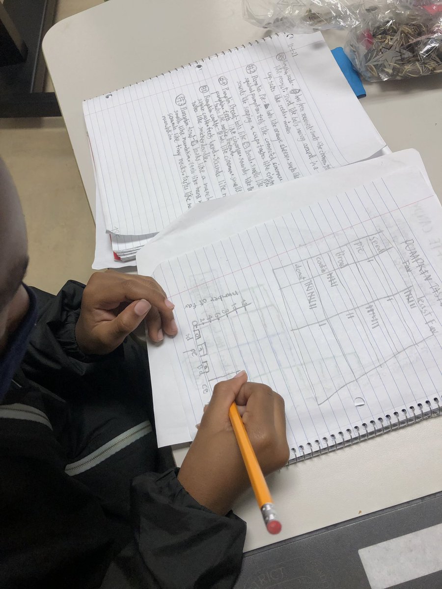 ThisFloridaMom's tweet photo. Observing, collecting data, sharing our connections, creating ways to organize  all of it. #mathiseverywhere https://t.co/G8XLYW6ESN