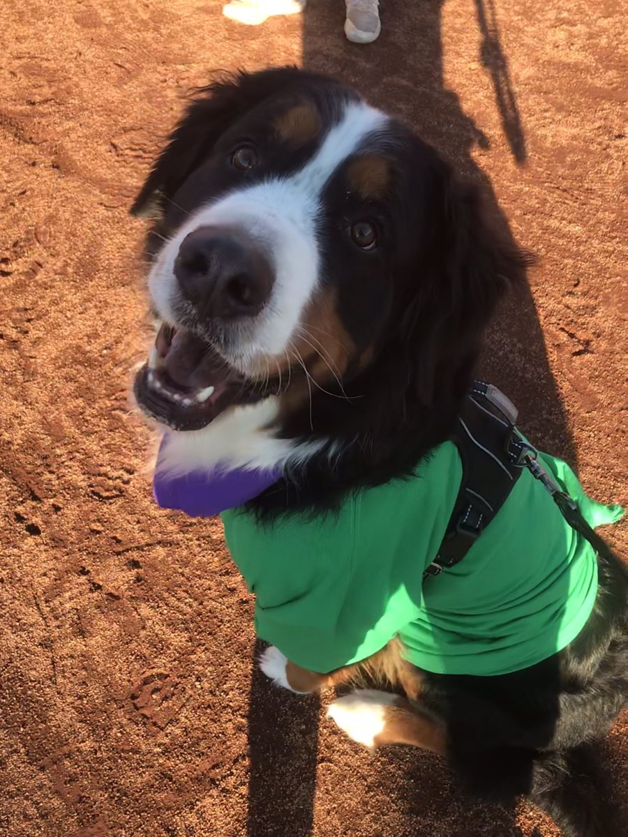 Thanks to <a href="/RockUSoftball/">Rockhurst Softball</a> for joining us today for our Halloween Kickball classic. We won’t post the score because we like you all too much but still good fun! #GoHawks