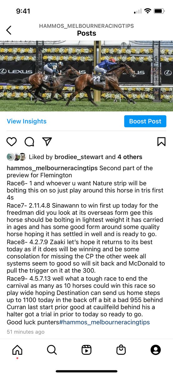 Melbourne Racing Tips tweet media
