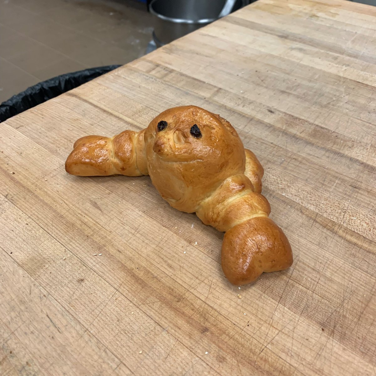 SeattleBread's tweet photo. Sometimes, just sometimes, there is left over dough from the challah we make, and sometimes, just sometimes, that dough becomes... whatever this is. Do you see a lobster, or a seal?

#makebreadnotwar #gratefulbread #gratefulbreadseattle #seattle #seattlebakery #organicbaking https://t.co/HJrTQvBcZy