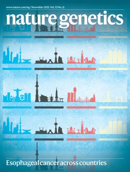 We made the November cover of Nature Genetics! It's so beautiful!!!!! <a href="/NatureGenet/">Nature Genetics</a>  Great idea from @josh_atkins311 to have the skylines from the 8 countries included in our study!