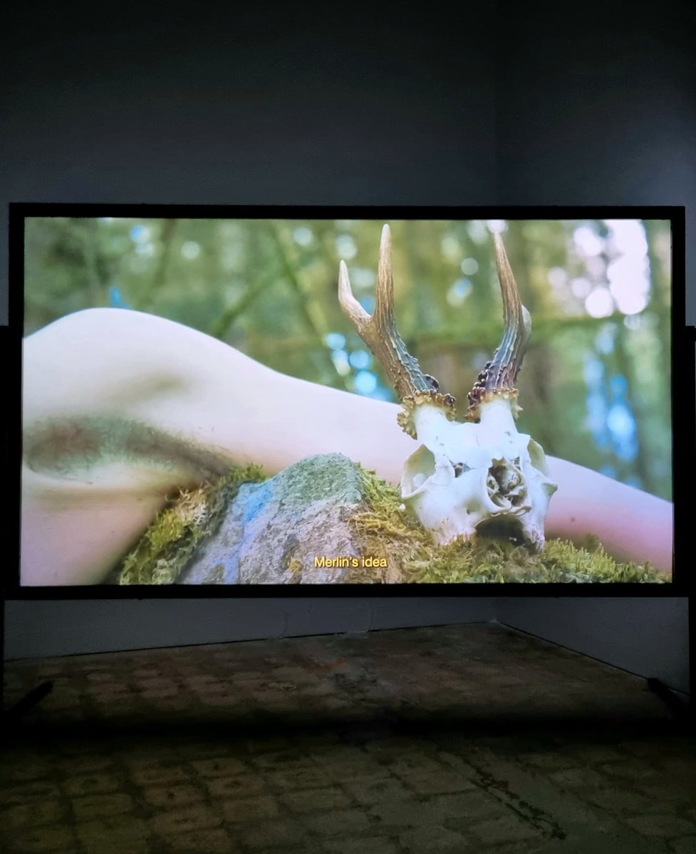 HardimansGalway's tweet photo. there's nothing left here but flesh and bone, there's nothing more — TULCA Festival of Visual Arts, curated by Eoin Dara. An Post Gallery: Renèe Helèna Browne, Laura Ní Fhlaibhín, Adrien Howard & K Patrick, Isobel Neviazsky, The Many Headed Hydra & Tonya McMullan #Galway #TULCA https://t.co/AAvbZovnGe