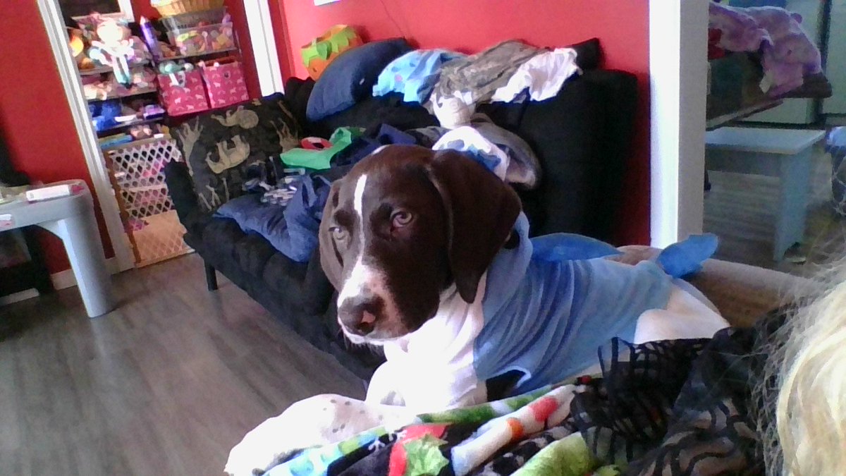 My little shark😘😘😘😘 Love u Dash