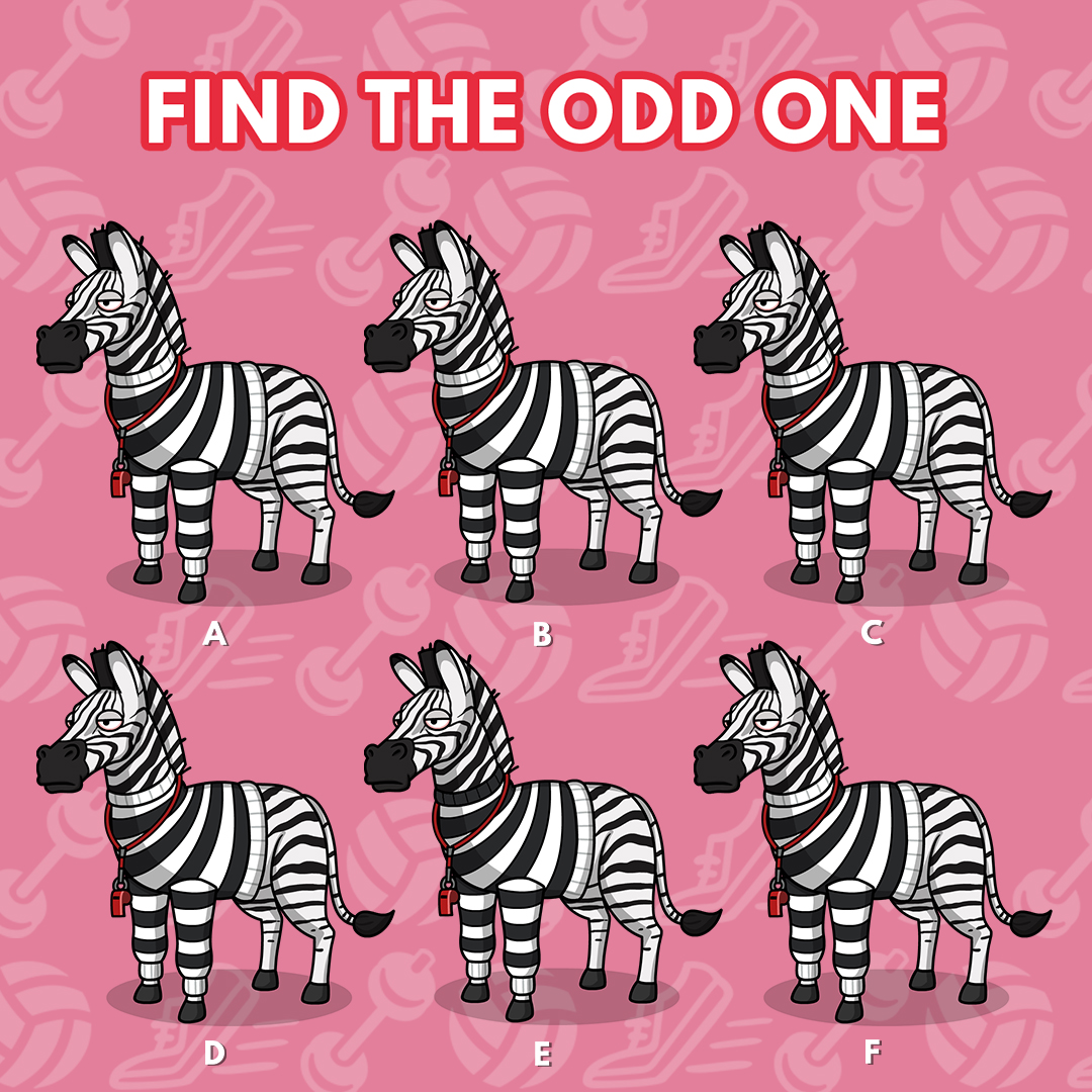 BudFarmIdle's tweet image. Staring at all these stripes is making me dizzy. 😵 Can you find the odd one?

Want to add Zed to your farm? 🦓 Then hop into the Weedlympics event that's on NOW to unlock him! 

Download Now! 👉 bit.ly/BudFarmTW
#BFIdle #BudFarm