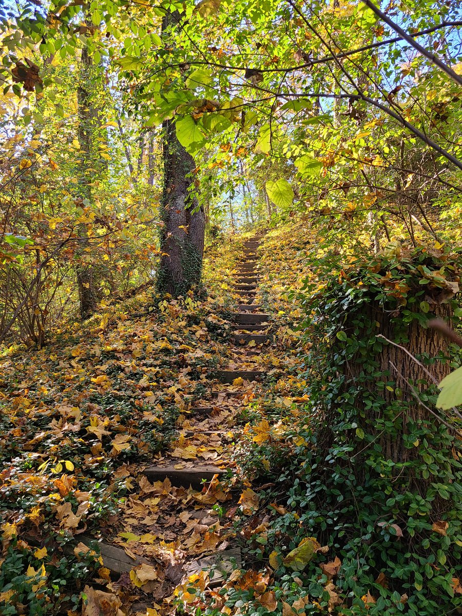 AmandaZachariasLab🔬〰️ tweet media