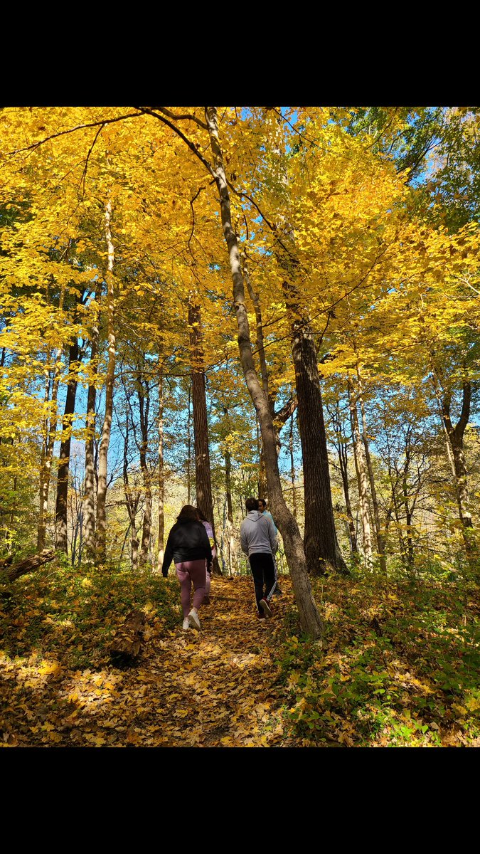 AmandaZachariasLab🔬〰️ tweet media