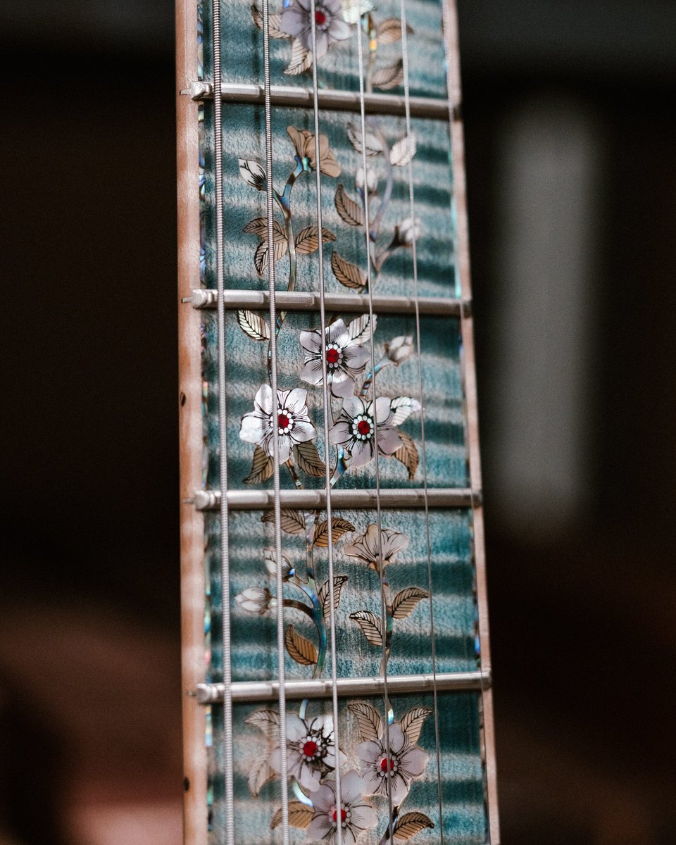 prsguitars's tweet photo. Happy #privatestockfriday! https://t.co/gr9SUsgqc9