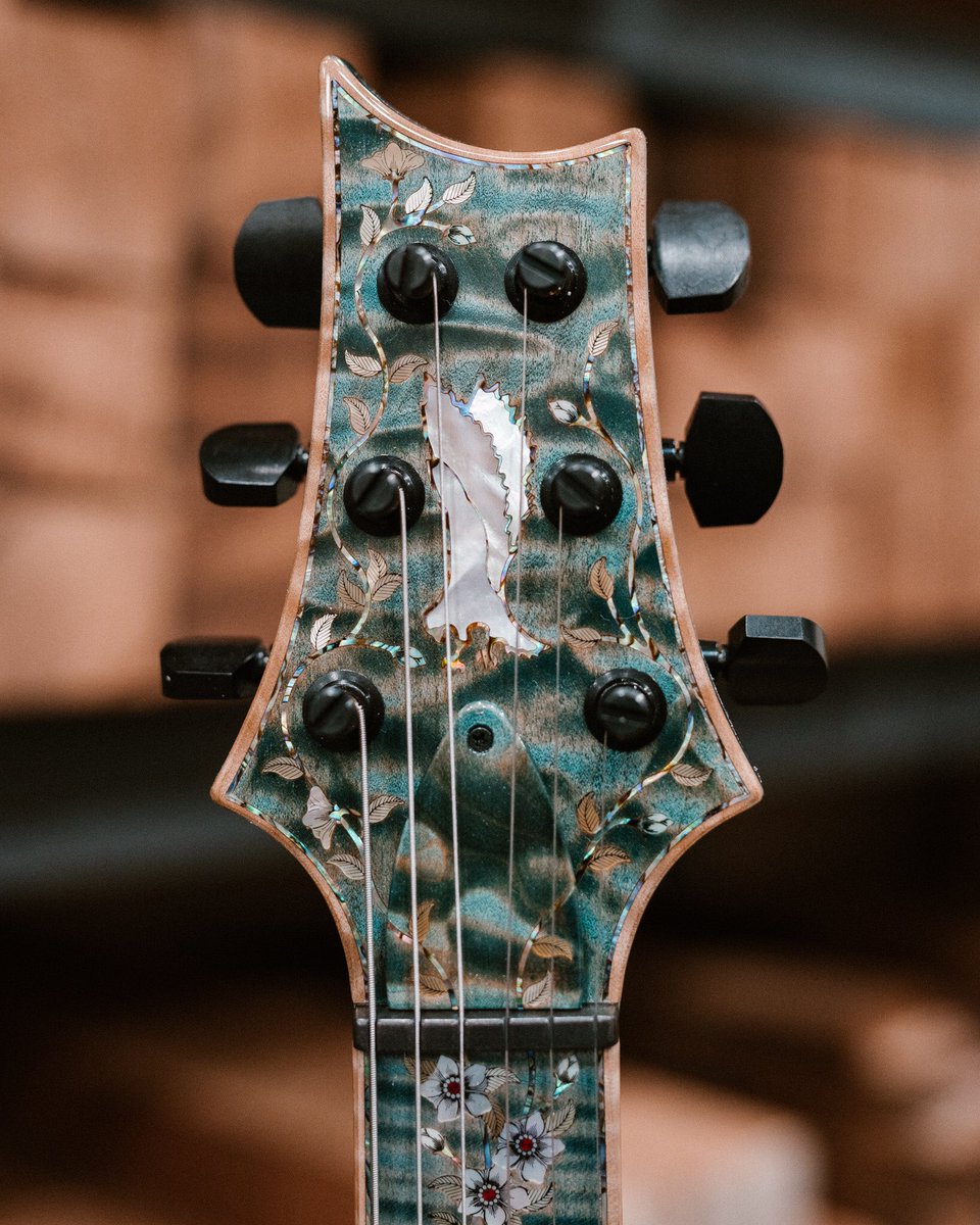 prsguitars's tweet photo. Happy #privatestockfriday! https://t.co/gr9SUsgqc9