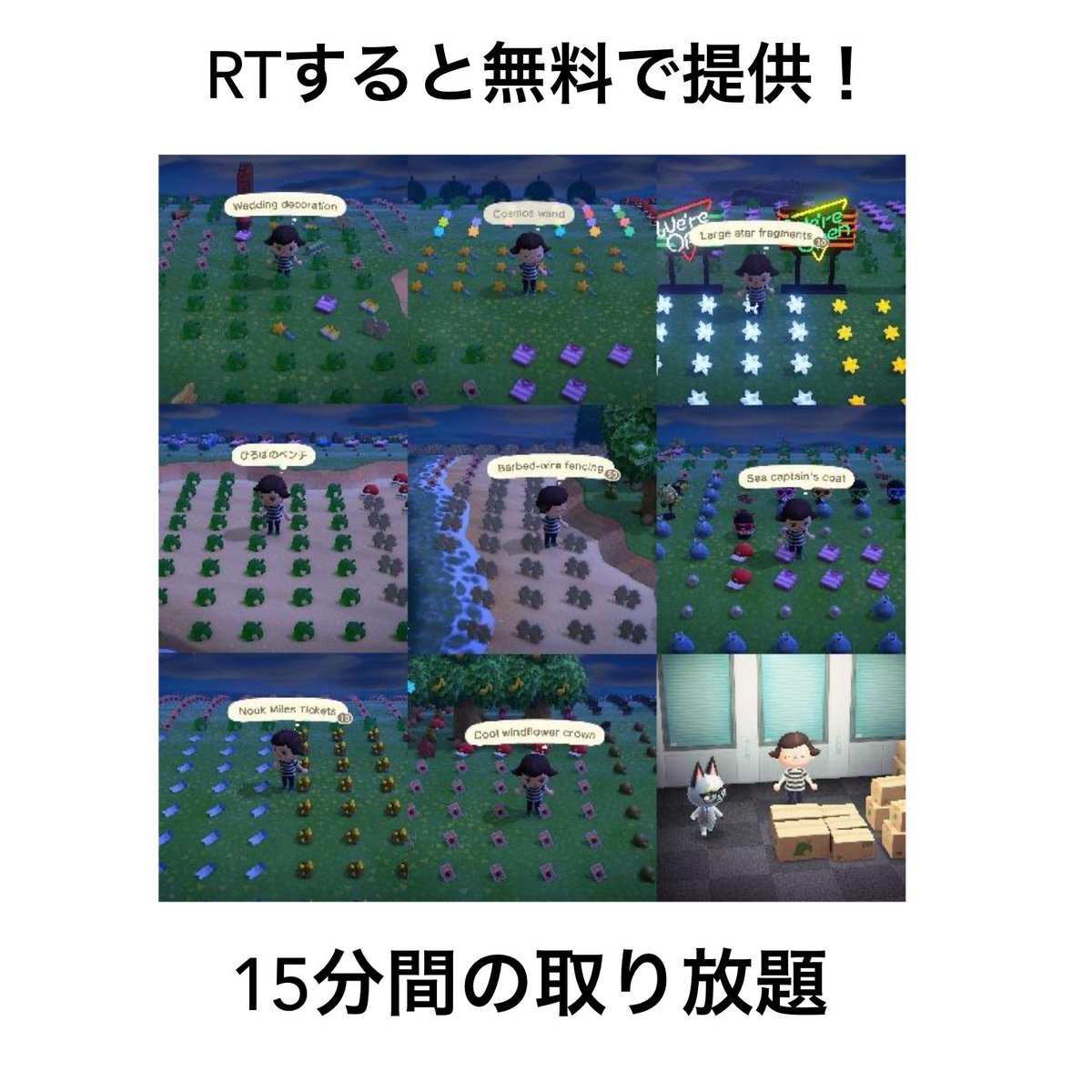 メグ tweet media