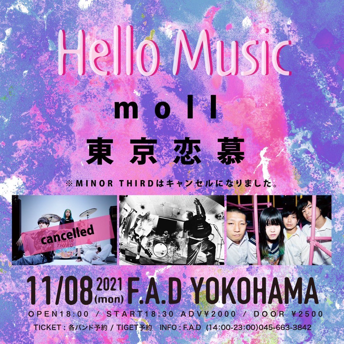 Moll Twitter Search Twitter