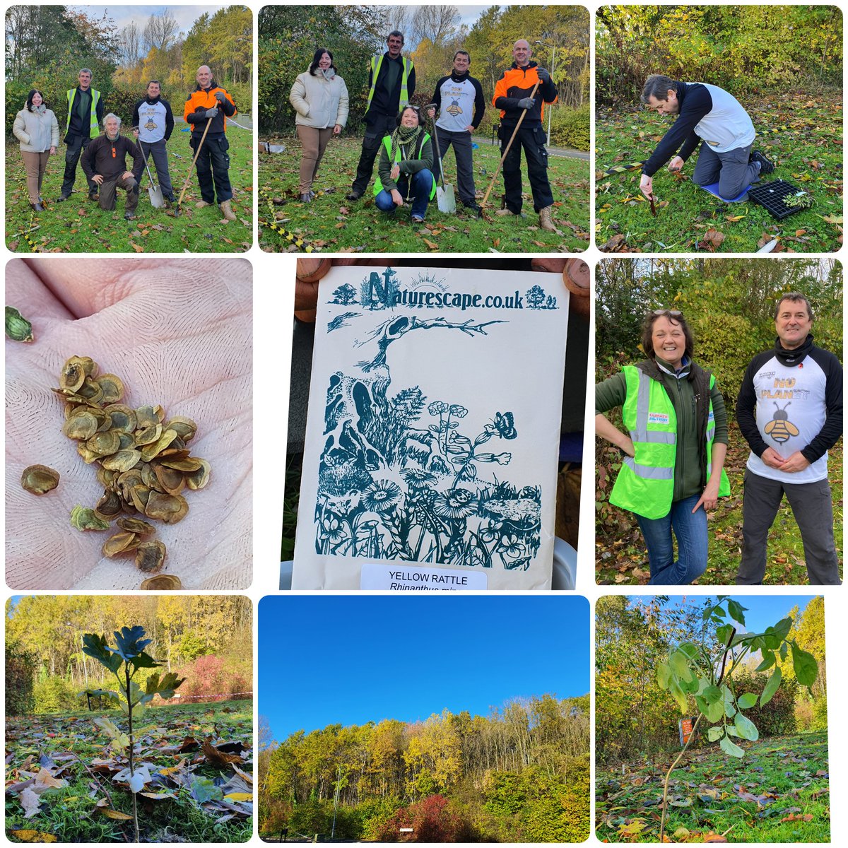 To celebrate #COP26 #NatureDay we planted over 230 british native plants, 16 native #trees and #yellowrattle #eyebright  seeds with our sponsors <a href="/SEPManagement/">SEP Management Ltd Security Services</a> and as part of our #PollinatoParks project with <a href="/wildcraftnation/">phil mac 🌍🐾🍦</a> #TogetherForOurPlanet   #ForNature #biodiversityaction
