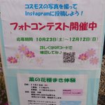 松田屋のフロントマンのツイート画像