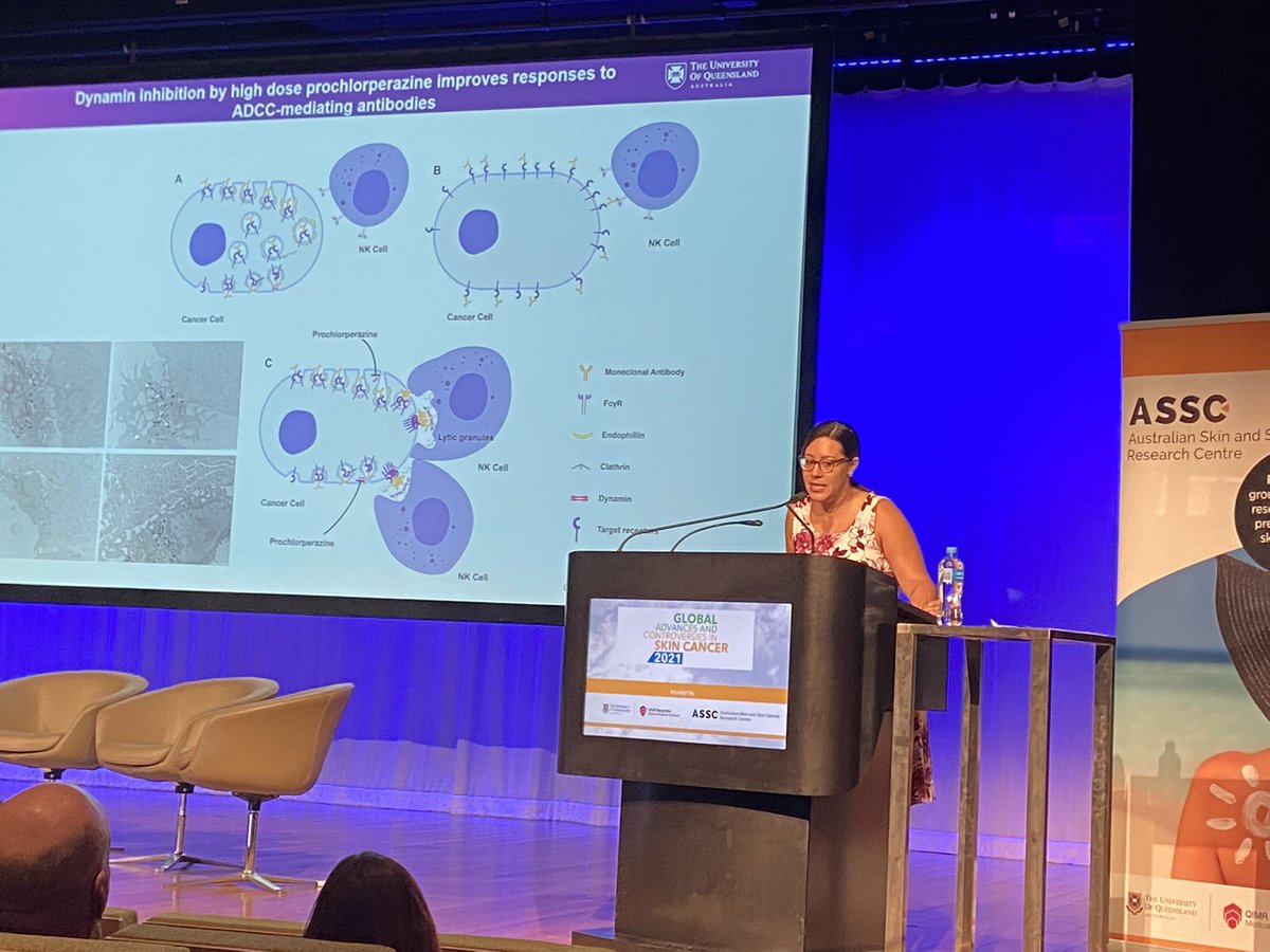 ASSC (@ausssc) on Twitter photo Thanks to #UQDI’s <a href="/Lima13Pri/">Priscila Lima</a> for sharing new developments in treatments for cSCCHN patients with perineural invasion at #GACSC2021
@SimpsonTeamUQDI <a href="/TRI_info/">Translational Research Institute</a> Thanks to #UQDI’s <a href="/Lima13Pri/">Priscila Lima</a> for sharing new developments in treatments for cSCCHN patients with perineural invasion at #GACSC2021
@SimpsonTeamUQDI <a href="/TRI_info/">Translational Research Institute</a>