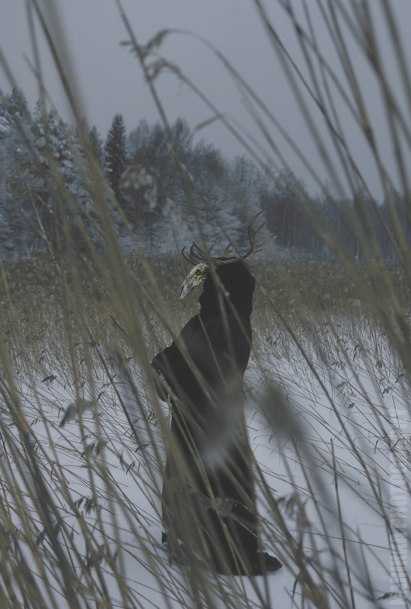 archillect's tweet photo. https://t.co/hY3gunc3c5