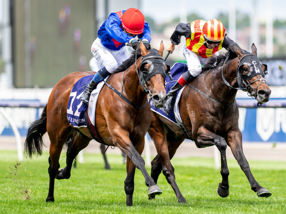 Arrowfield Stud (@arrowfieldstud) on Twitter photo It's an Arrowfield graduate quinella by Bend The Knee (Snitzel-Kneeling) & Port Louis (Maurice-Cat By The Tale) in the <a href="/FlemingtonVRC/">Victoria Racing Club</a> The Amanda Elliott LR! Bend The Knee is our 4th <a href="/mmsnippets/">Magic Millions</a>-sold SW this Spring, after G1 Profondo, G1 Hitotsu & G3 Flying Evelyn. #Classof2020 It's an Arrowfield graduate quinella by Bend The Knee (Snitzel-Kneeling) & Port Louis (Maurice-Cat By The Tale) in the <a href="/FlemingtonVRC/">Victoria Racing Club</a> The Amanda Elliott LR! Bend The Knee is our 4th <a href="/mmsnippets/">Magic Millions</a>-sold SW this Spring, after G1 Profondo, G1 Hitotsu & G3 Flying Evelyn. #Classof2020