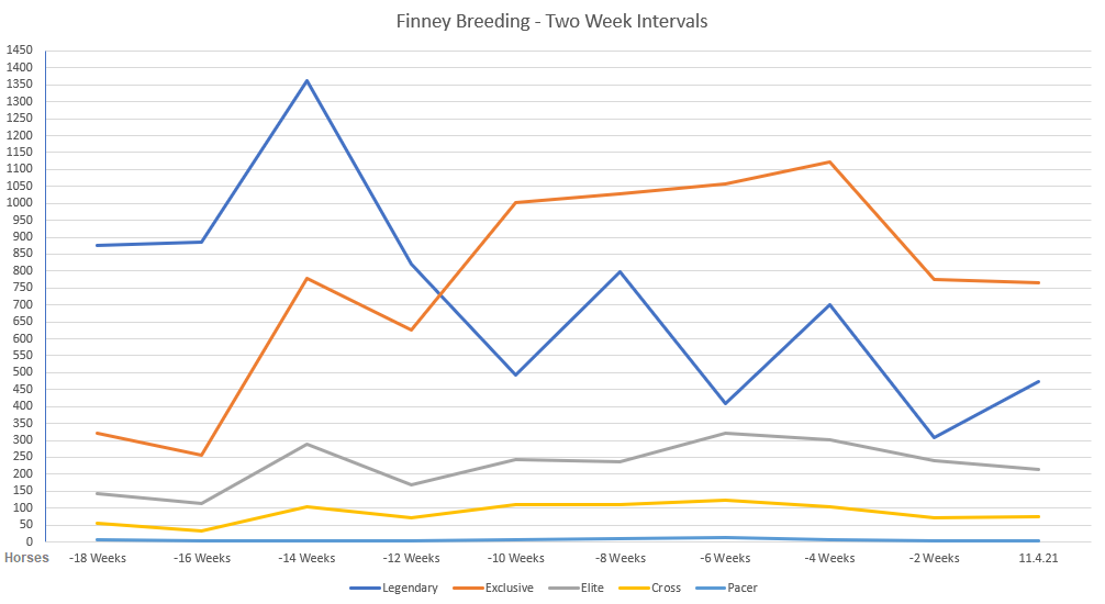 ZED RUN Stats tweet media