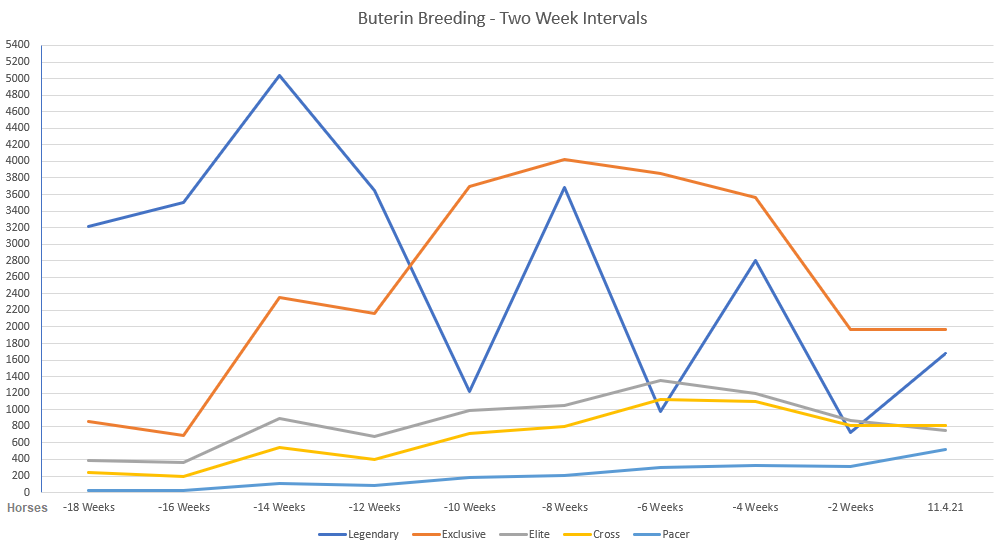ZED RUN Stats tweet media