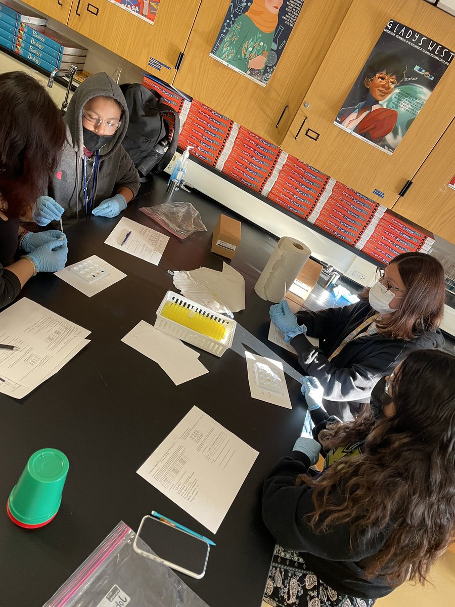 What if multiple suspects have the same blood type as the crime scene? We practiced testing ABO blood type and used other evidence from the crime scene + suspects to determine the most likely match.
