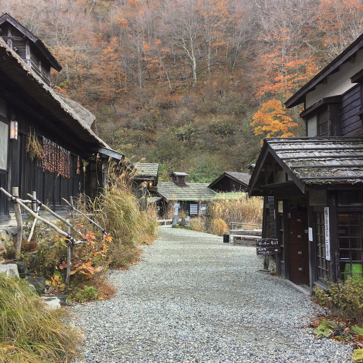 heyitssharla's tweet photo. Autumn in Japan🍁🍂 https://t.co/jznorp98qY