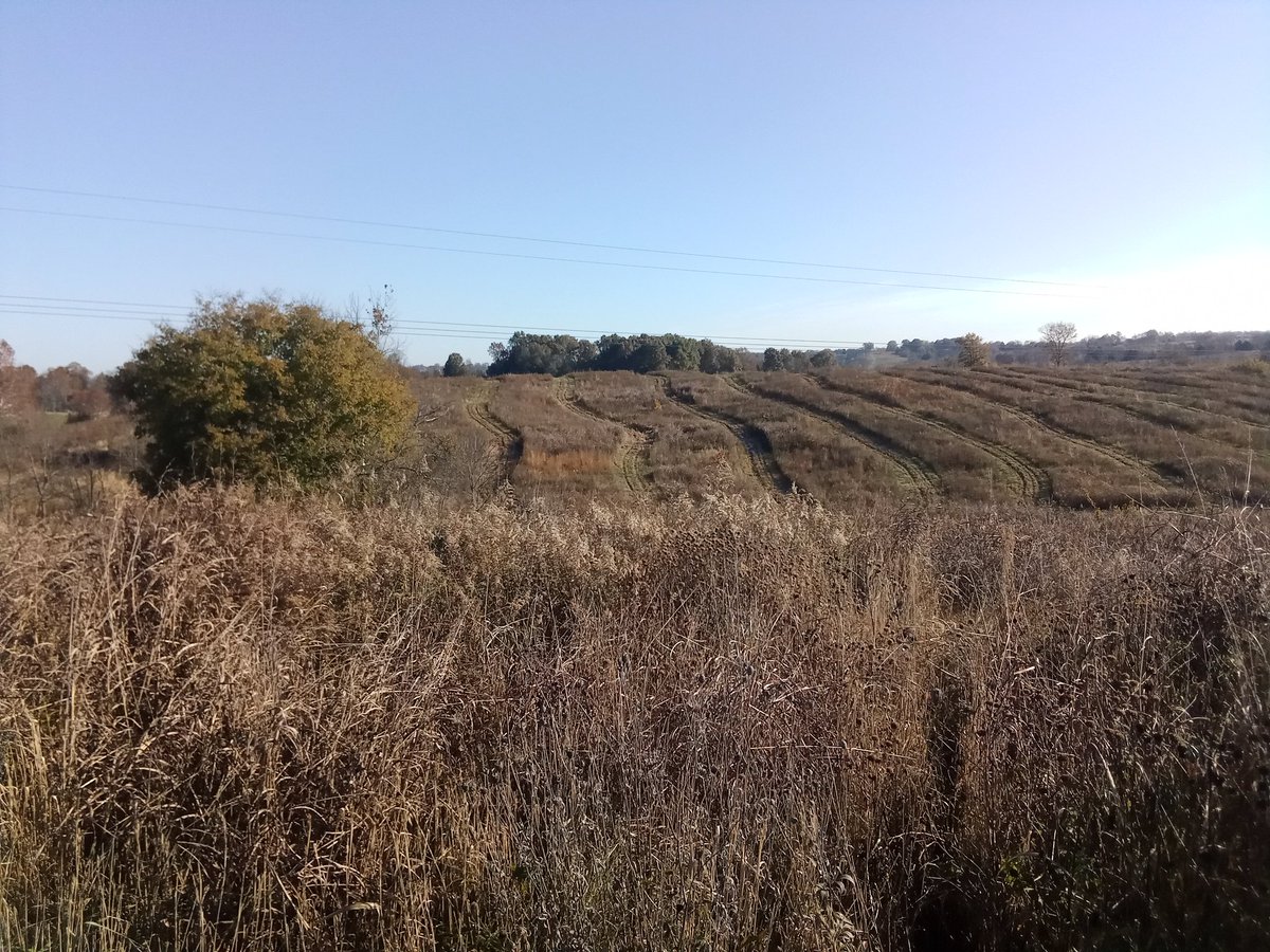Pics of the old perryville kentucky battlefield