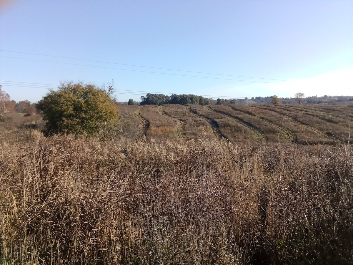 More battlefield pics