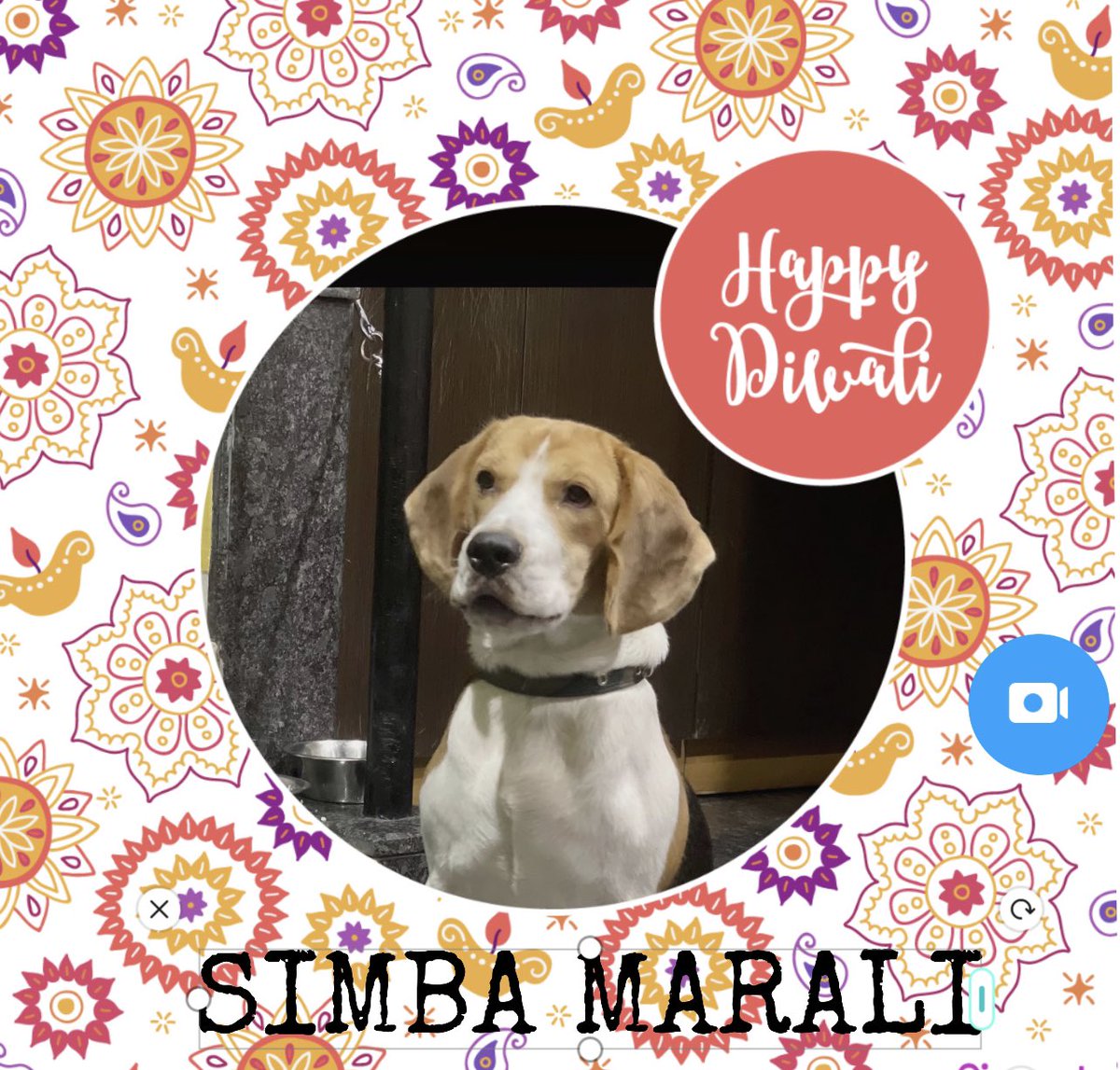 MaraliSimba's tweet photo. Simba wishing all Happy Diwali💫✨🐶

https://t.co/ObGONHklV0

#Beagle #beaglefacts #Diwali #Beagleoftwitter #Deepavali2021 #FestivalOfLights #HappyDeepavali  #SimbaMarali #HappyDiwali https://t.co/japmb8wT3I