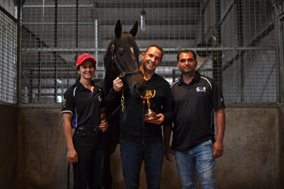 cwallerracing's tweet photo. Verry Elleegant’s regular strappers Rocky &amp; Marley were like proud parents when their girl arrived back @rosehillgardens in the early hours of Friday morning! 🏆 https://t.co/EFIJyWI3jt