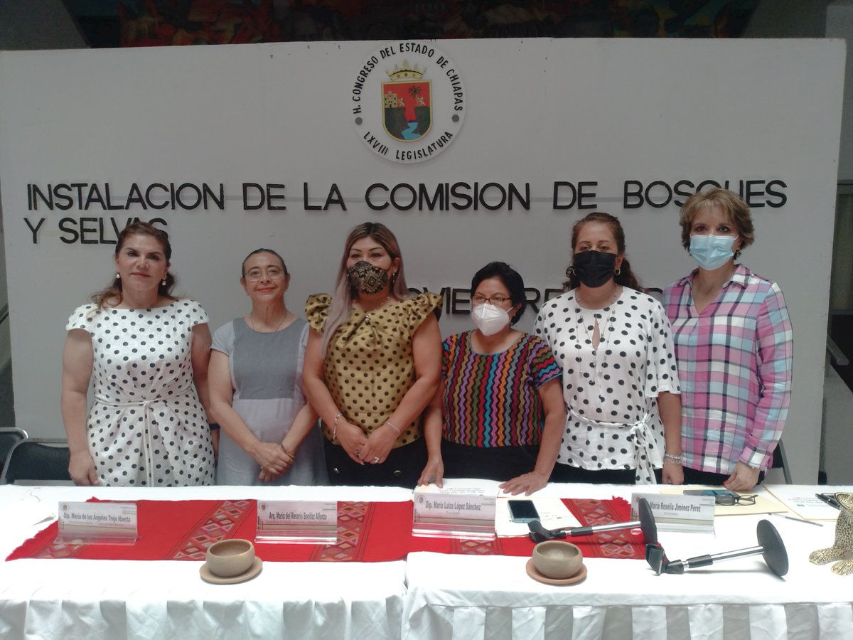 MariaRoseliaJi1's tweet photo. 📄 Se llevo a cabo la Instalación de la Comisión de Bosques y Selvas del H. Congreso de la cual formo parte como Secretaria. 
Promover políticas públicas que ayuden a mitigar la grave problemática de deforestación de nuestras selvas y bosques.

#RoseliaContigo 🙋🏻‍♀️ https://t.co/QbjH8fdp92